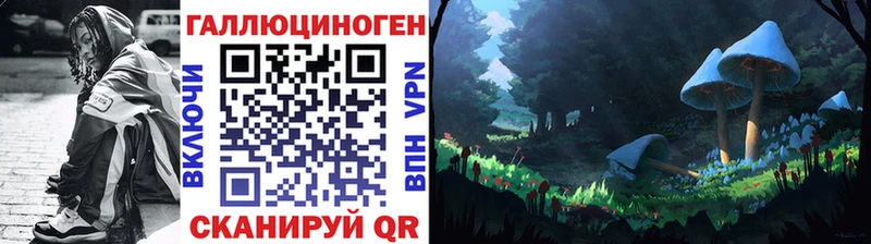 Галлюциногенные грибы Psilocybe Краснознаменск